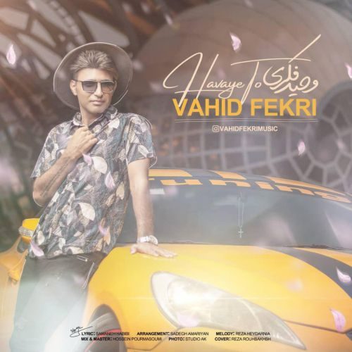 Vahid Fekri - Havaye To