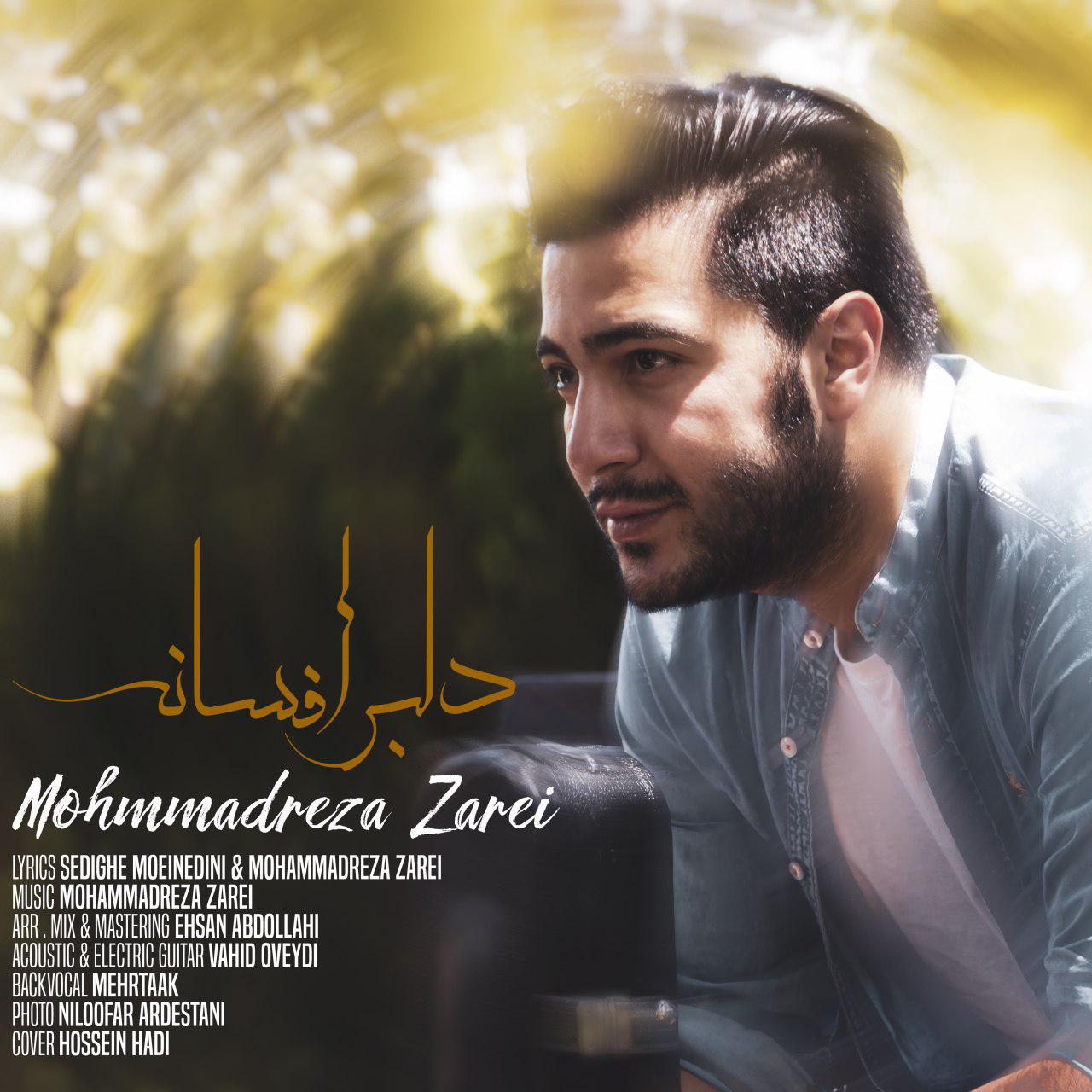 Mohammadreza Zarei - Delbare Afsaneh