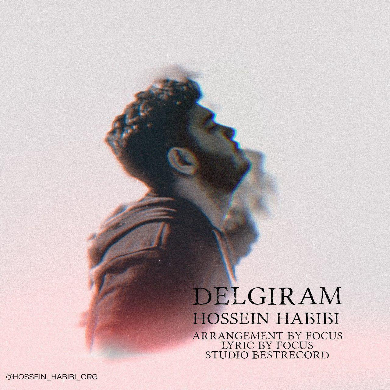 Hossein Habibi - Delgiram