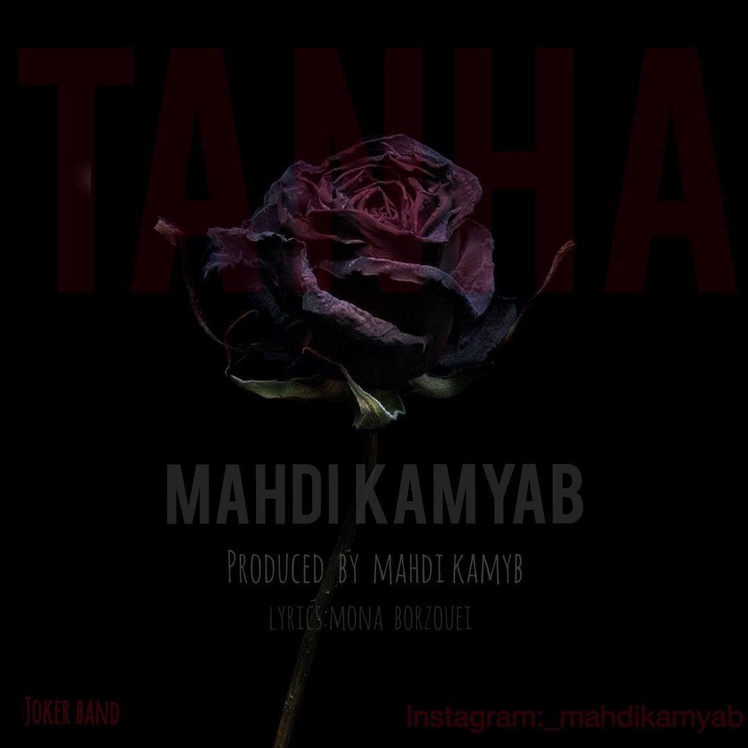 Mahdi Kamyab - Tanha