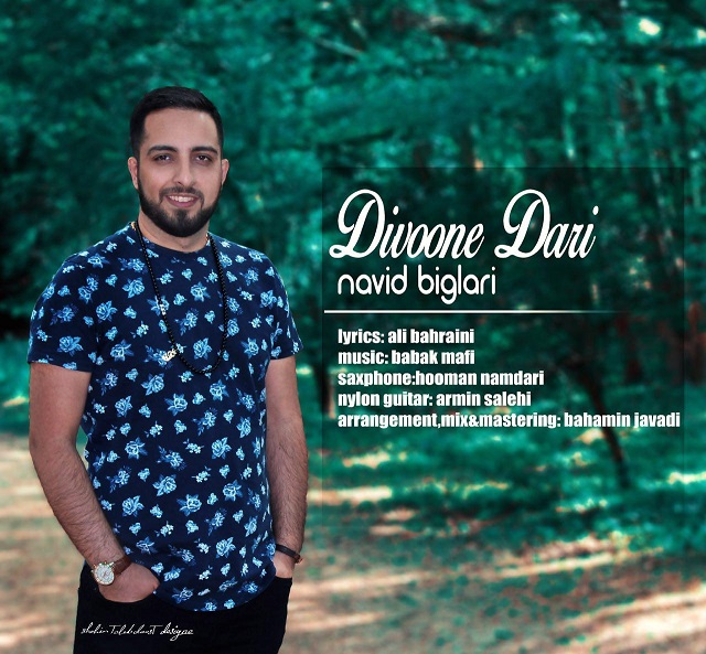 Navid Biglari - Divoone Dari