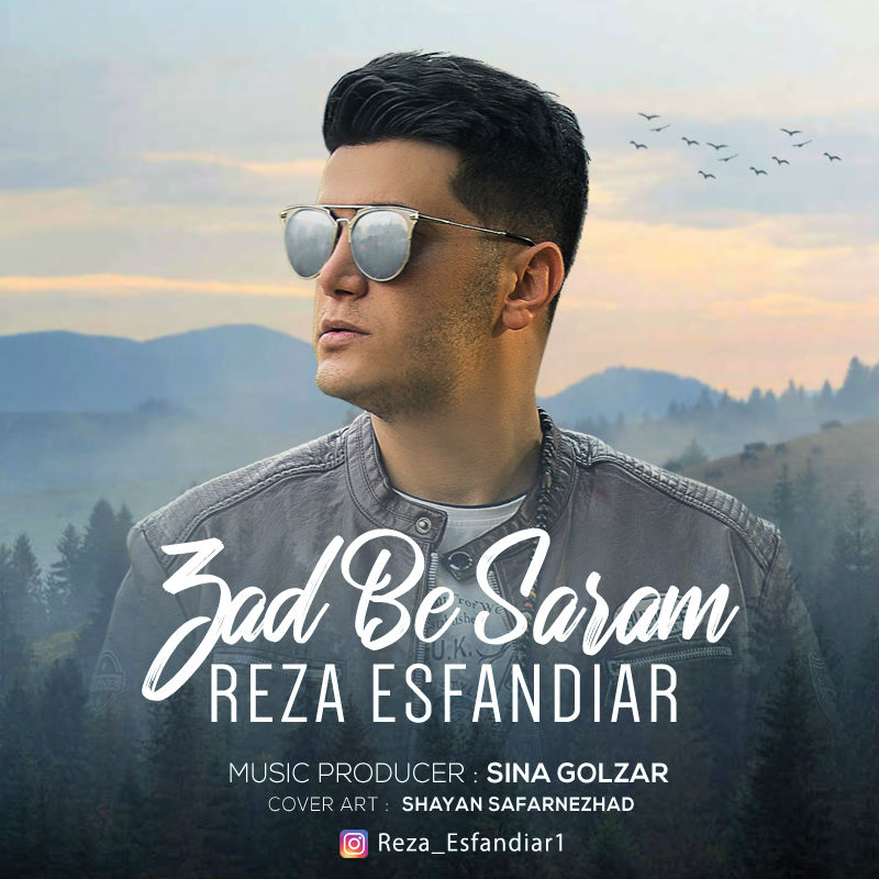 Reza Esfandiar - Zad Be Saram