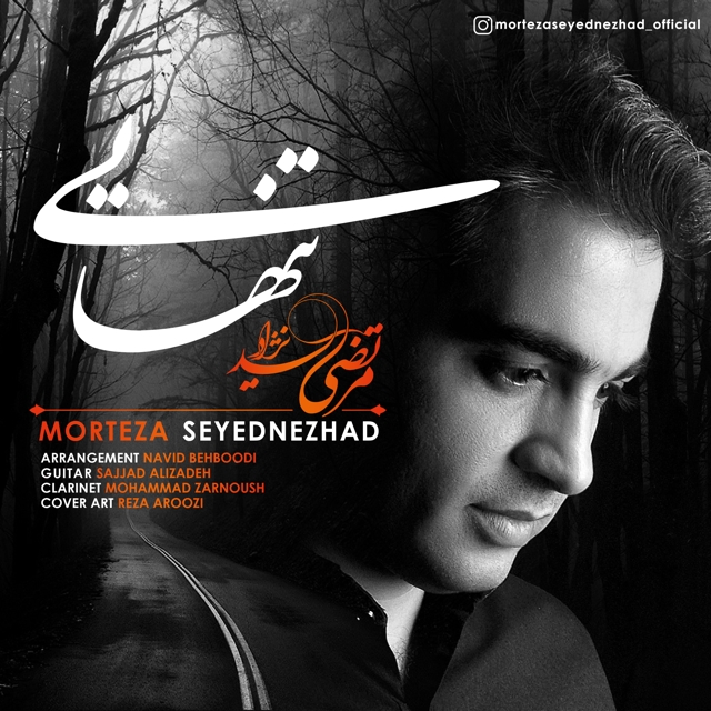 Morteza Seyednezhad - Tanhaei