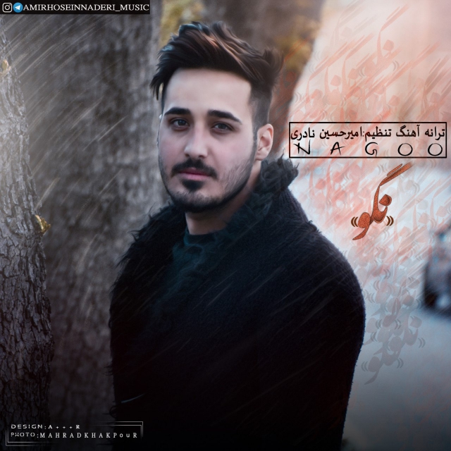 Amirhosein Naderi - Nagoo