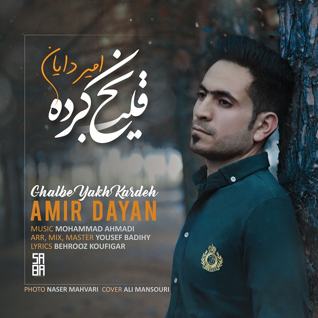 Amir Dayan - Ghalbe Yakh Kardeh