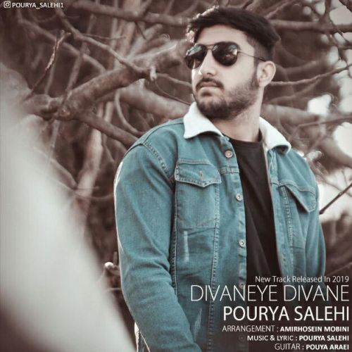 Pourya Salehi - Divaneye Divane