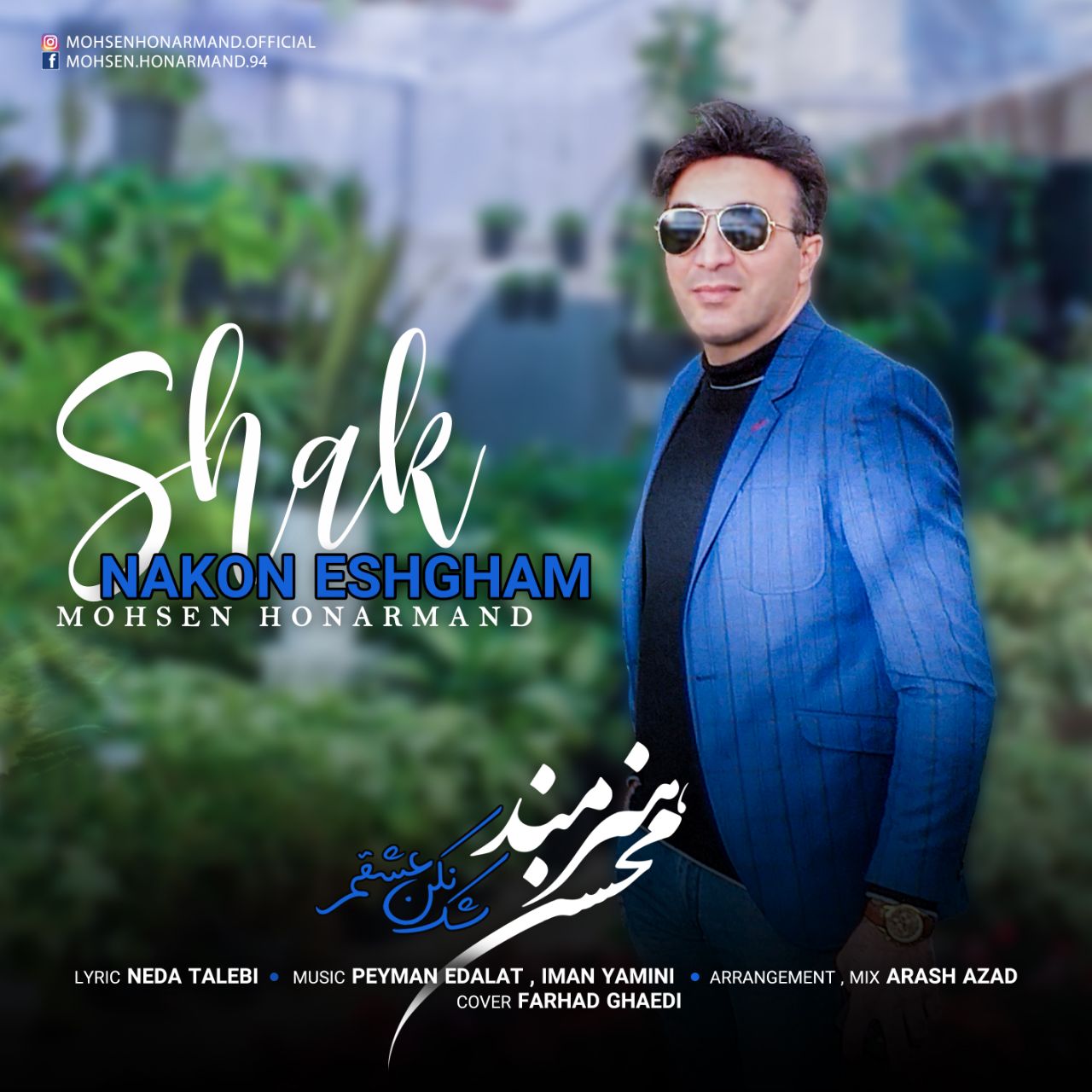 Mohsen Honarmand - Shak Nakon Eshgham