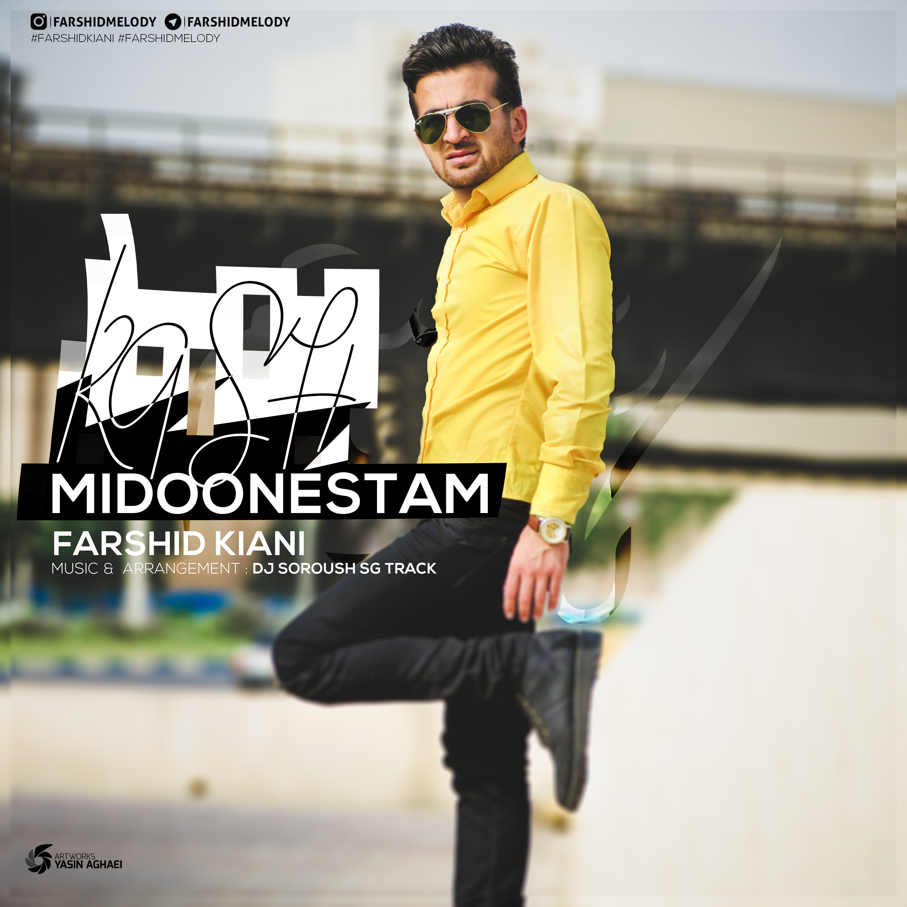 Farshid Kiani - Kash Midoonestem