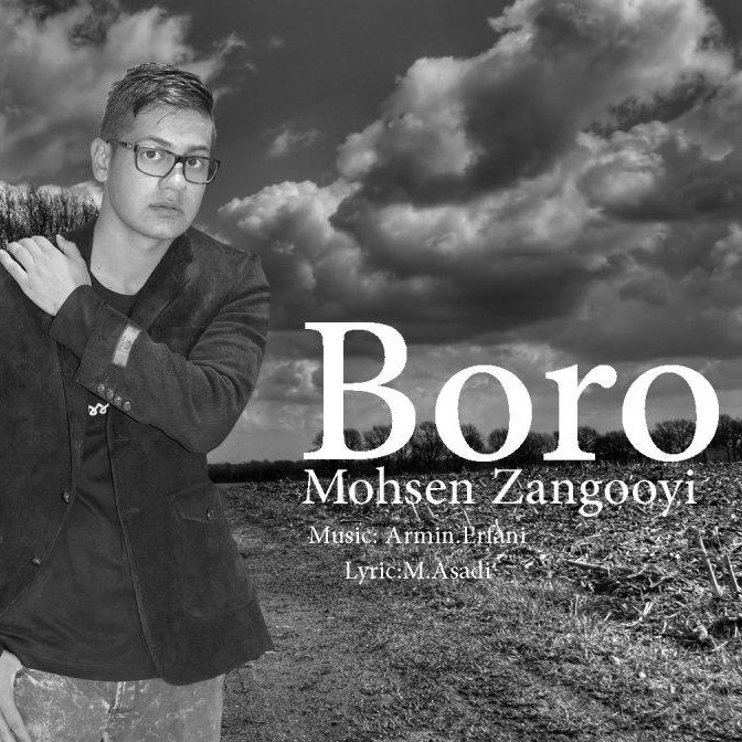 Mohsen Zangouyi - Boro