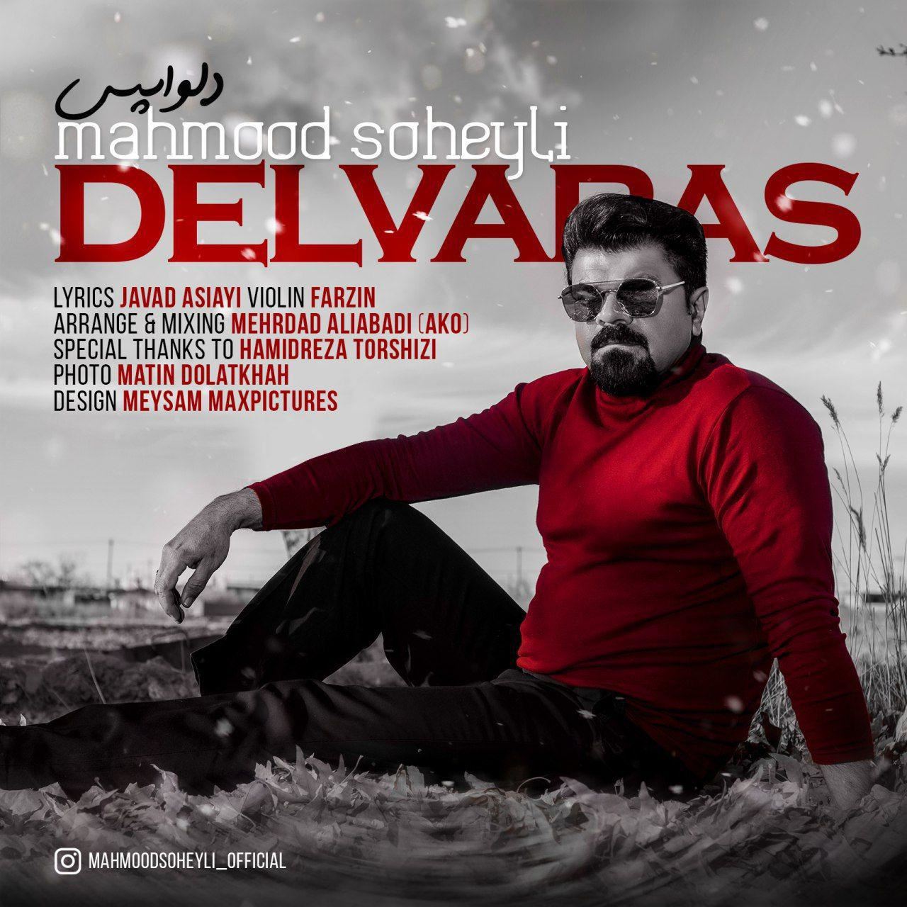 Mahmood Soheyli - Delvapas