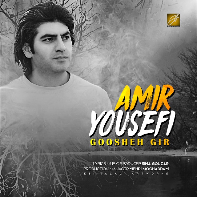 Amir Yousefi - Goosheh Gir