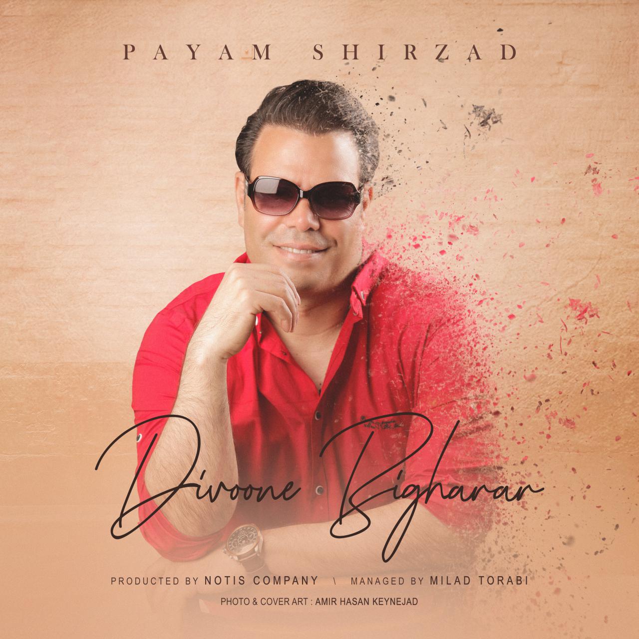 Payam Shirzad - Divoone Bigharar