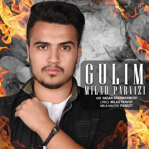 Milad Parvizi - Gulim