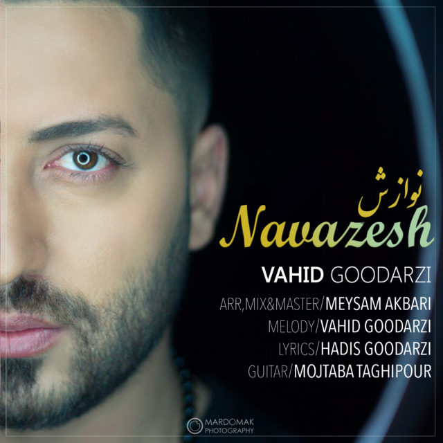 Vahid Goodarzi - Navazesh