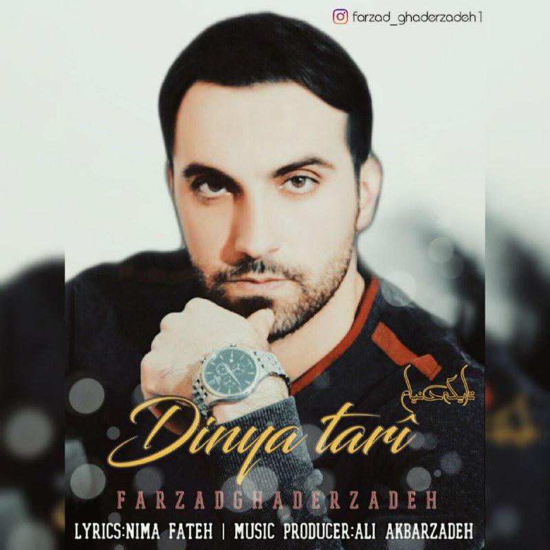 Farzad Ghaderzadeh - Dinya Tari