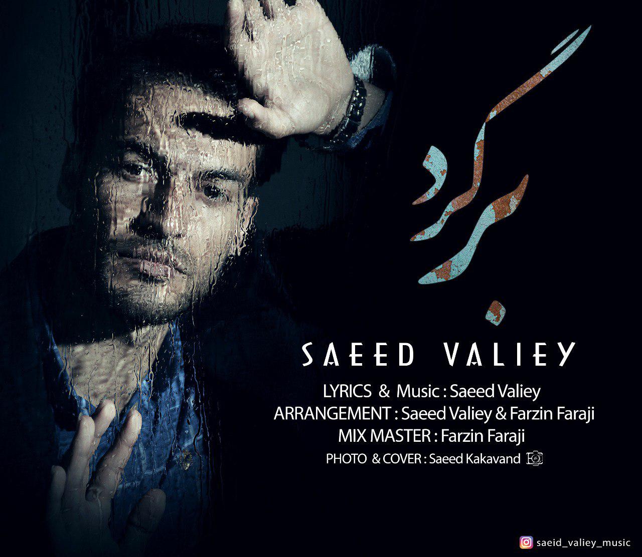 Saeed Valiey - Bargard