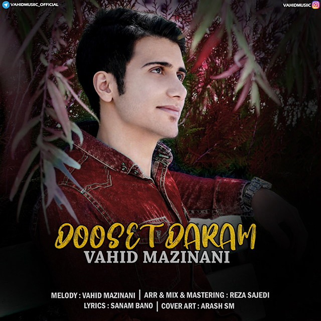 Vahid Mazinani - Dooset Daram