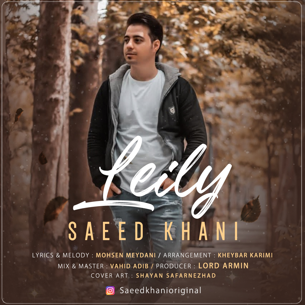 Saeed Khani - Leily