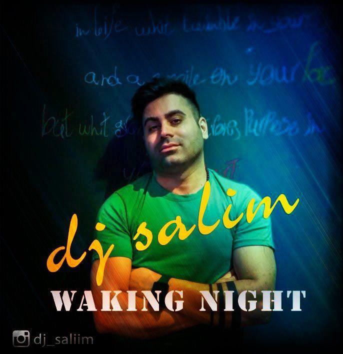 DJ Salim - Walking Night