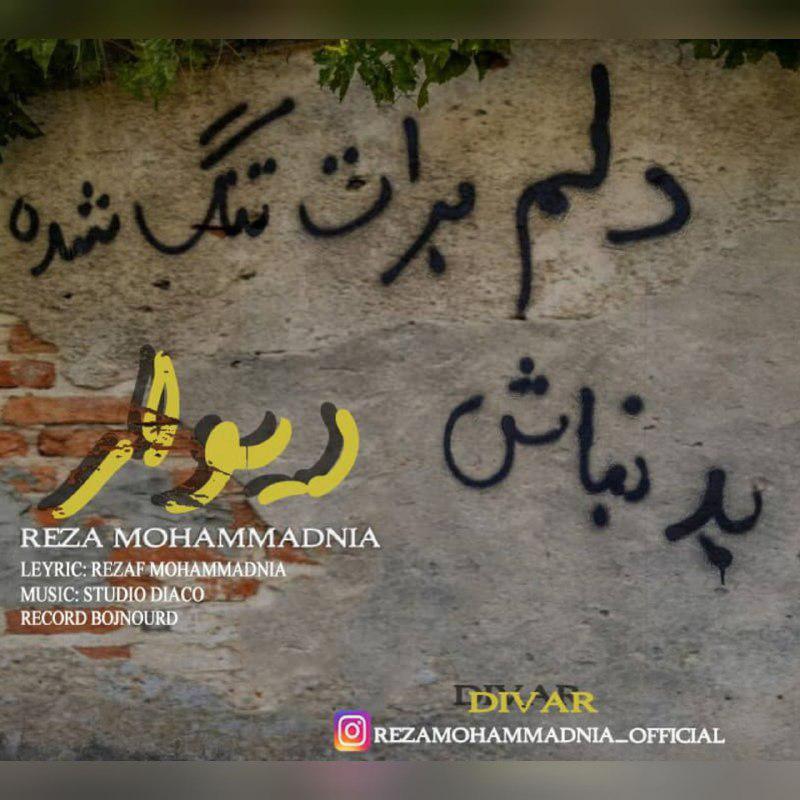 Reza Mohammadnia - Divar