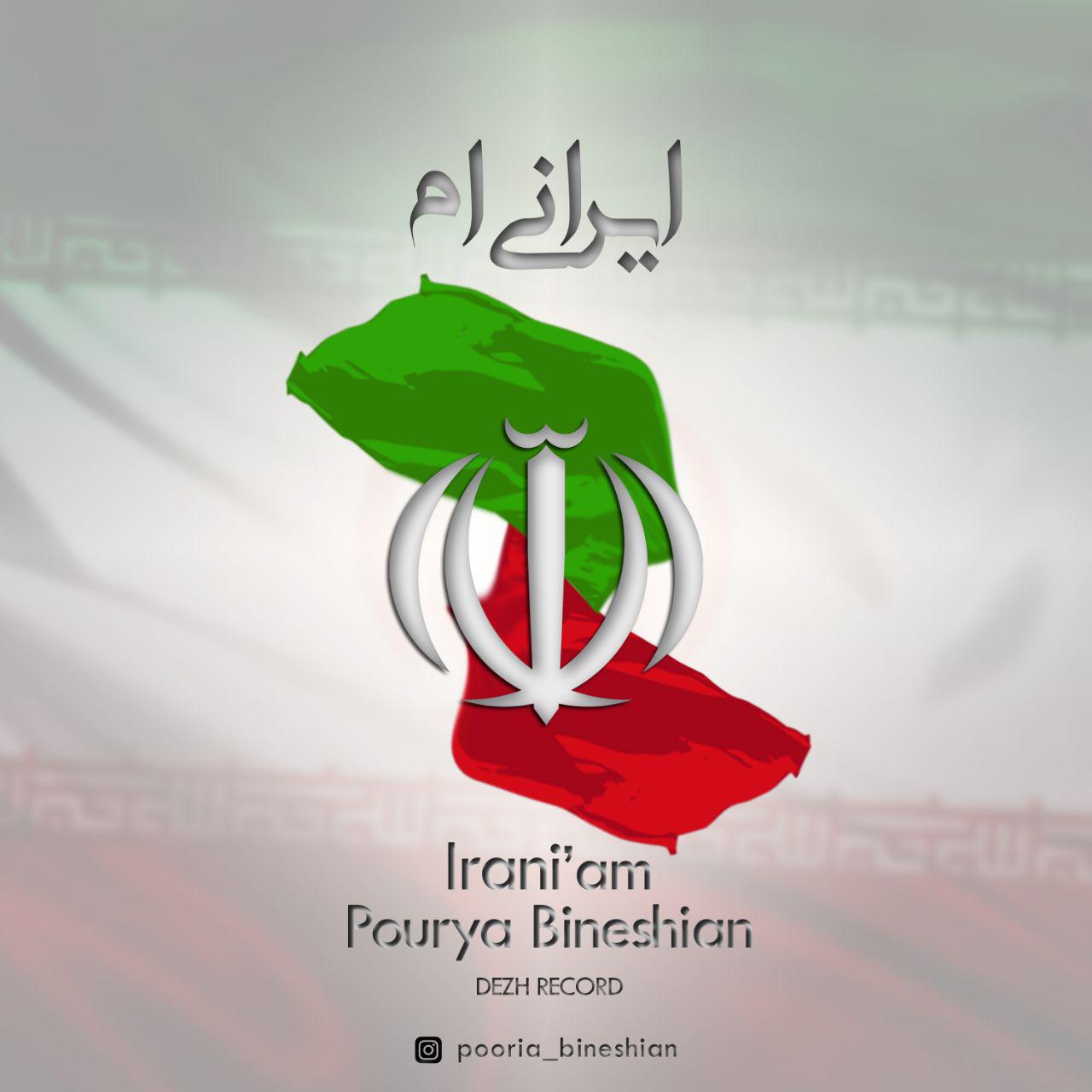 Pouriya Bineshiyan - Iraniam