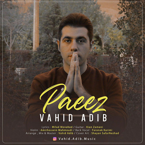 Vahid Adib - Paeez