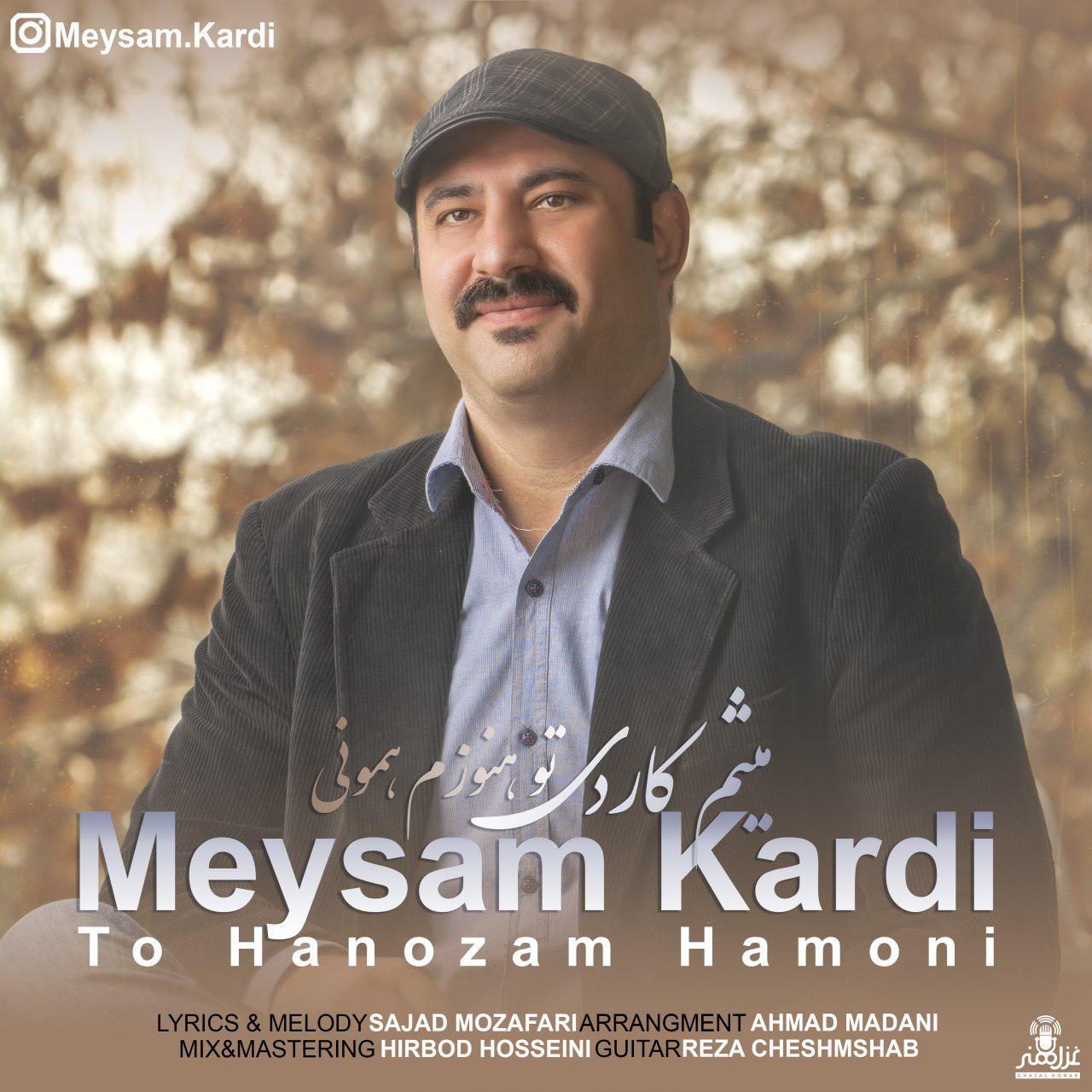 Meysam Kardi - To Hanozam Hamoni