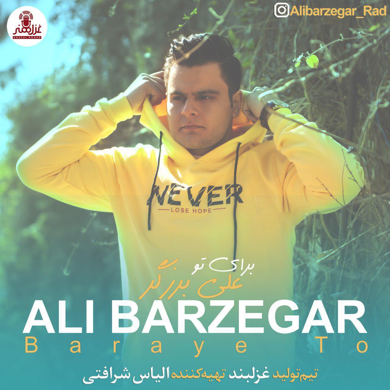 Ali Barzegar - Baraye To