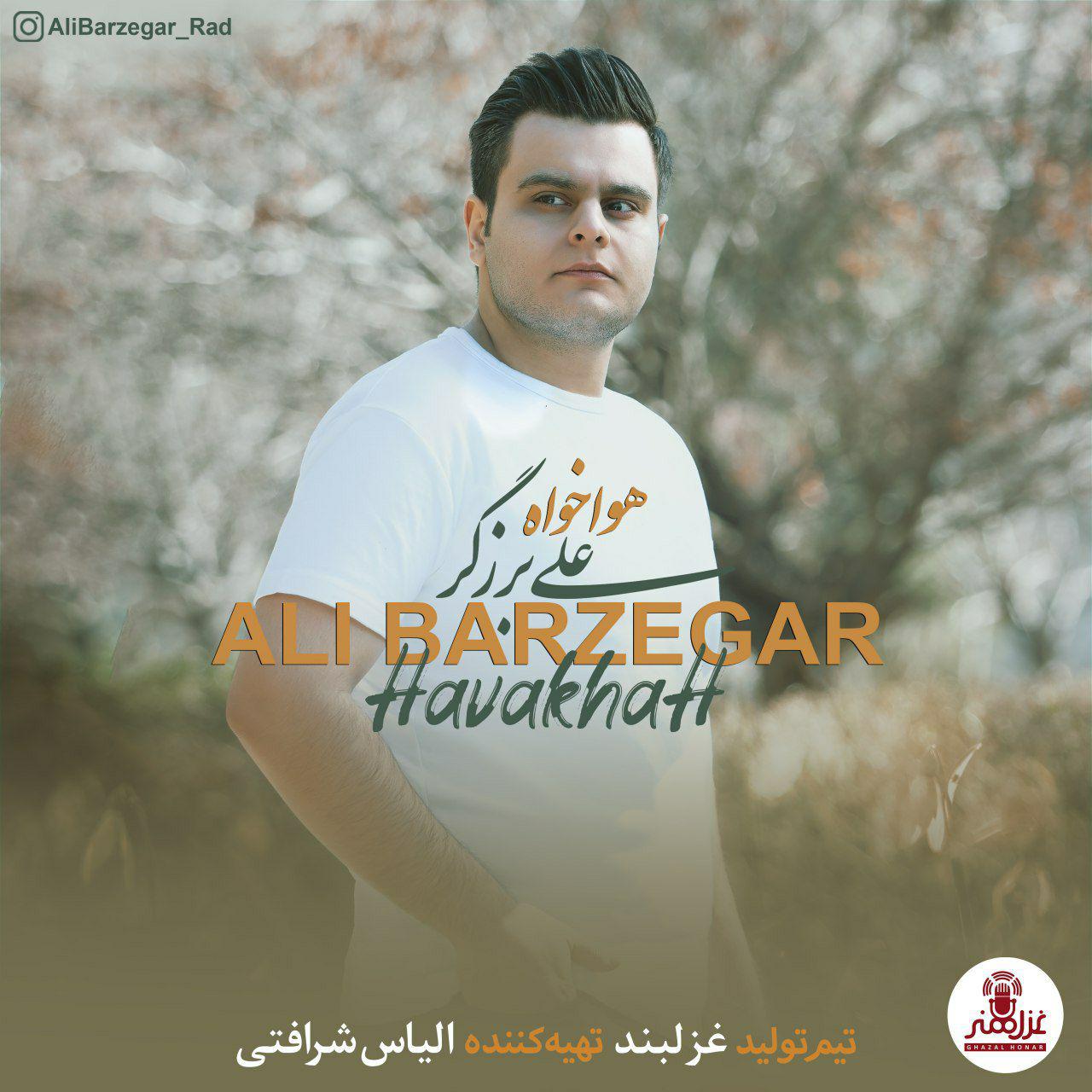 Ali Barzegar - Havakhah