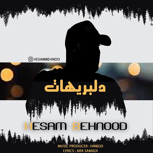 Hesam Behnood - Delbarihat