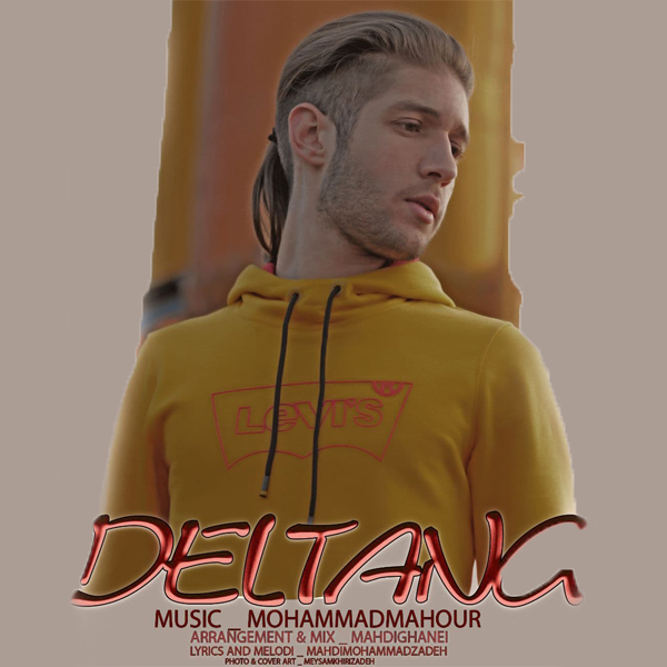 Mohammad Mahour - Deltang