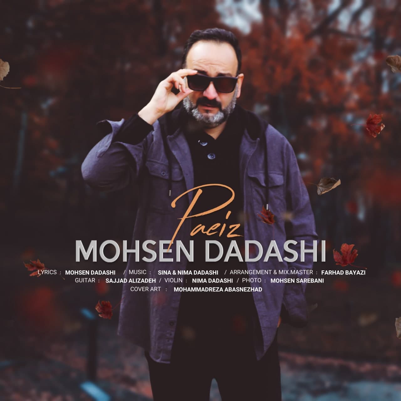 Mohsen Dadashi - Paeiz