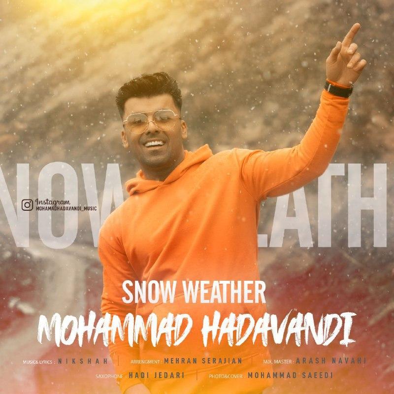 Mohammad Hadavandi - Snow Weather