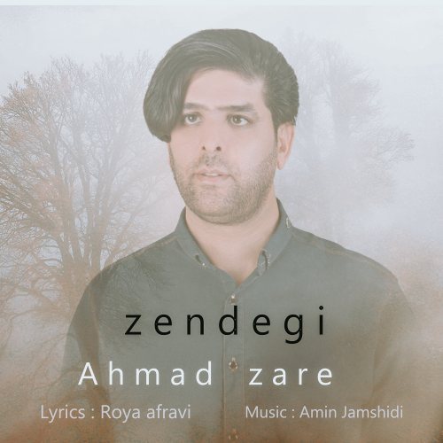 Ahmad Zare - Zendegi