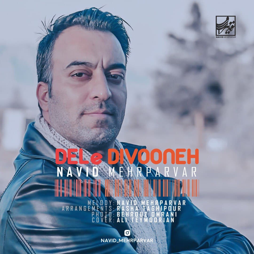 Navid Mehrparvar - Dele Divooneh