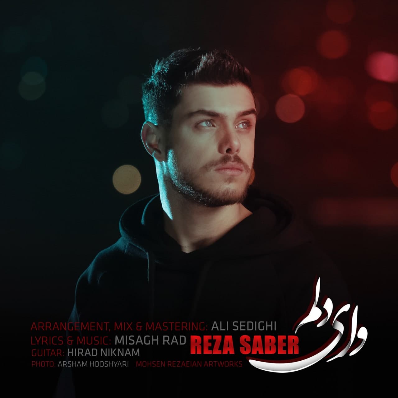 Reza Saber - Vay Delam