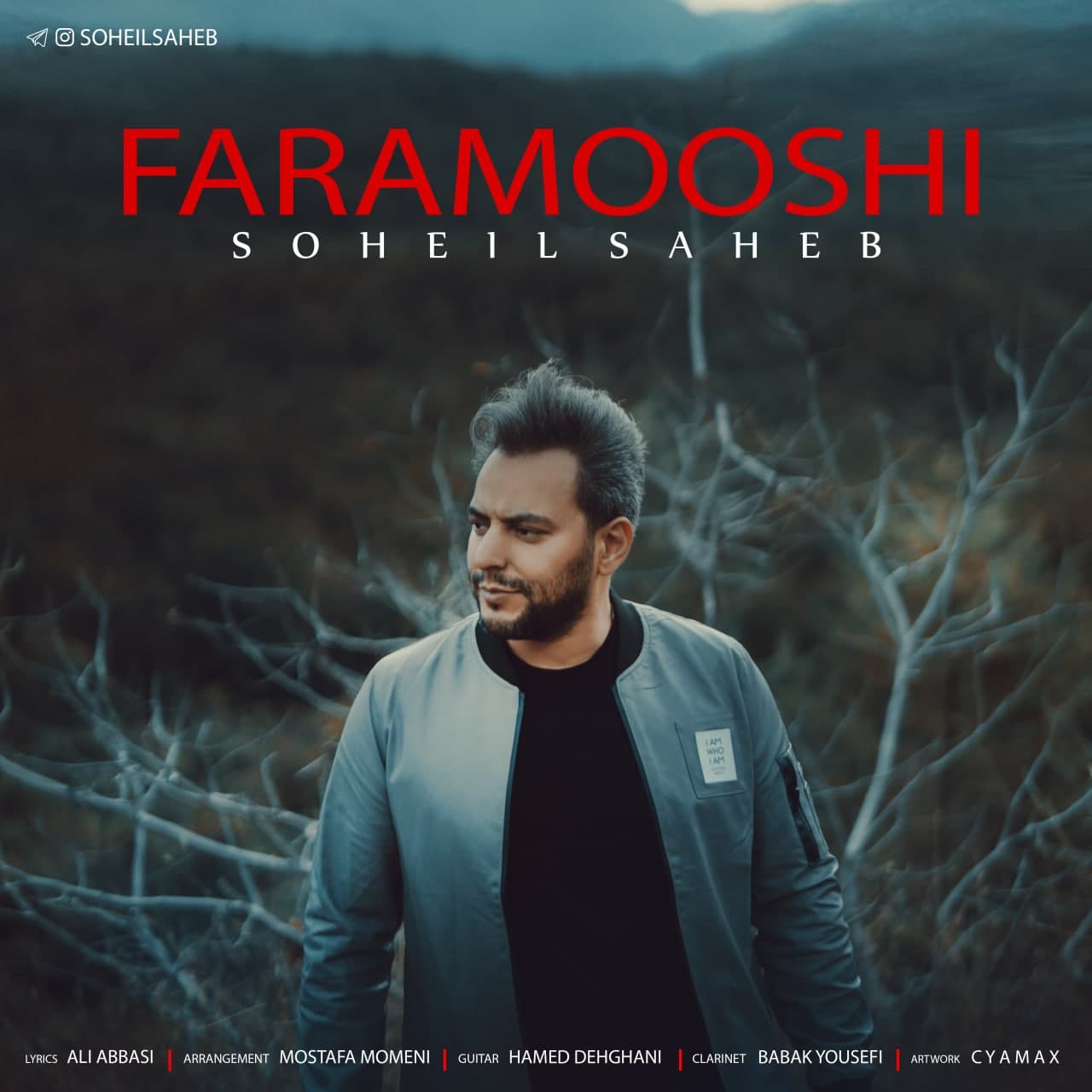 Soheil Saheb - Faramooshi