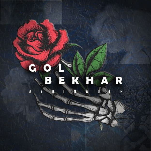 AydinWolf - Gol Bekhar