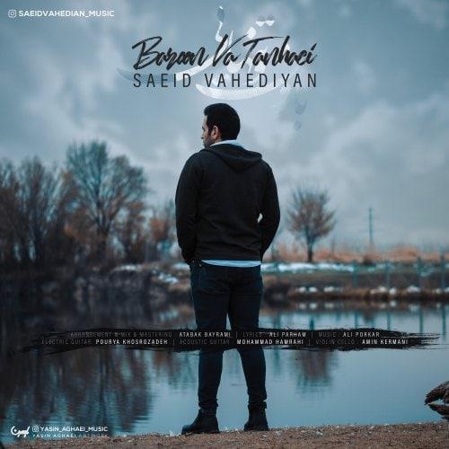 Saeid Vahedian - Baroono Tanhaei