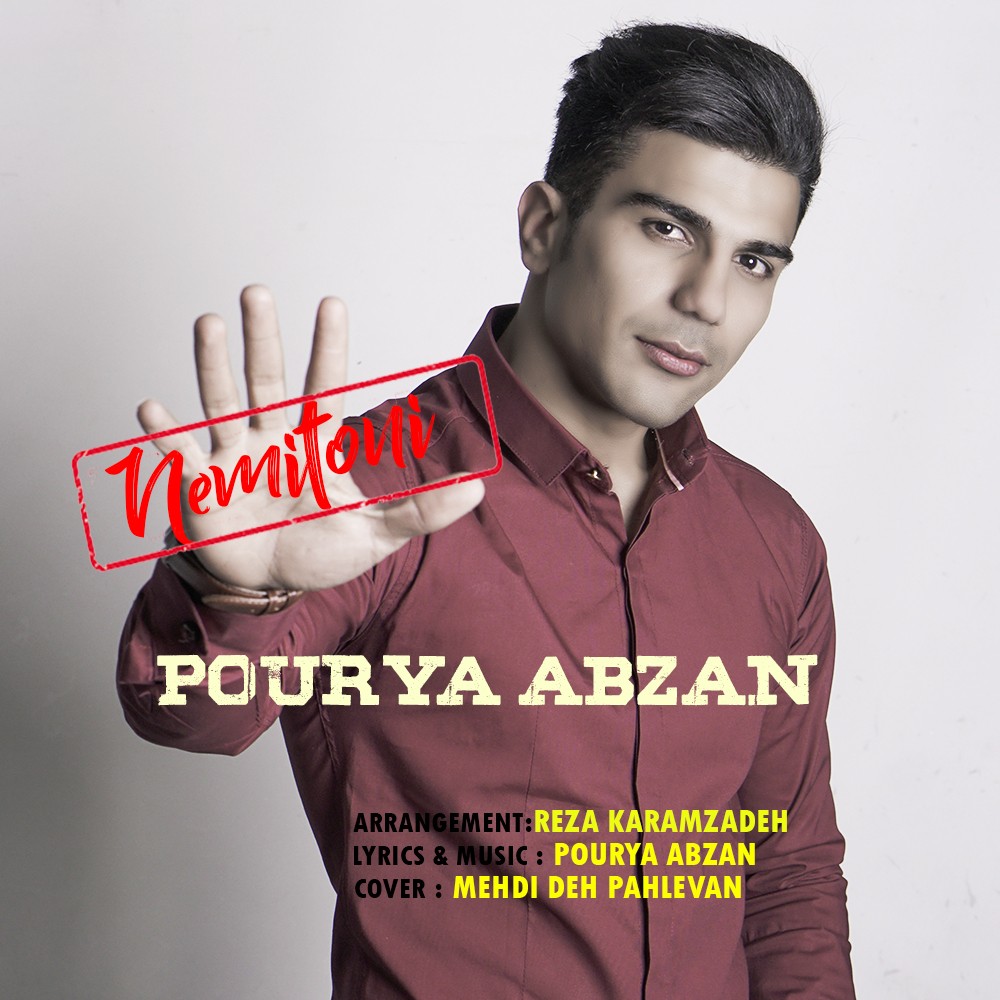 Pourya Abzan - Nemitoni