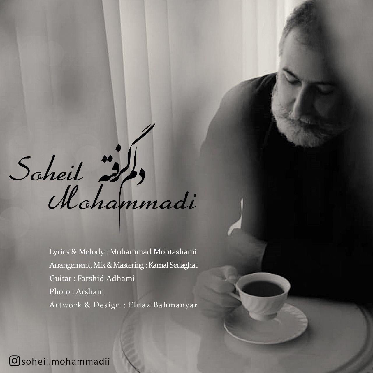 Soheil Mohammadi - Delam Gerefte