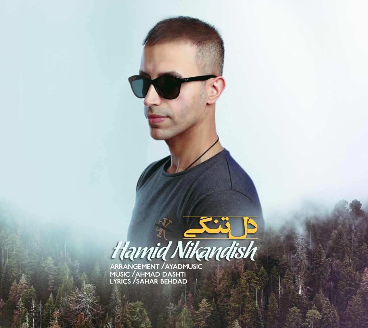 Hamid Nikandish - Deltangi