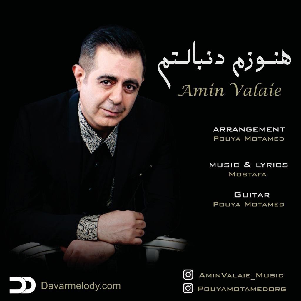 Amin Valaie - Hanozam Donbaletam