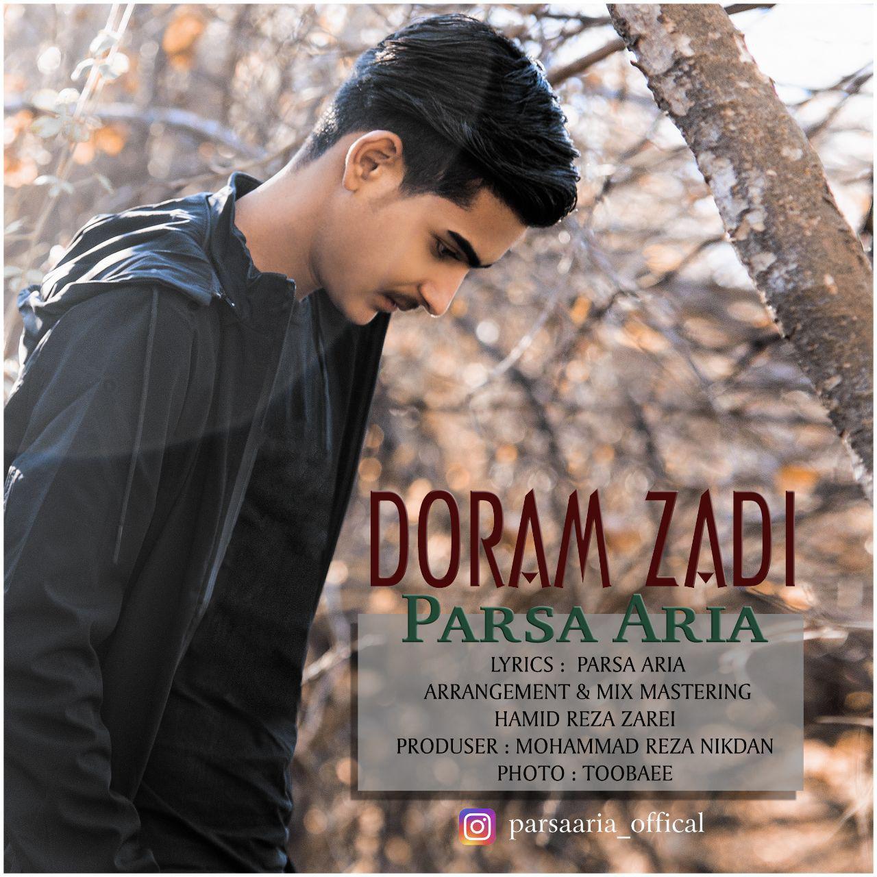 Parsa Aria - Doram Zadi