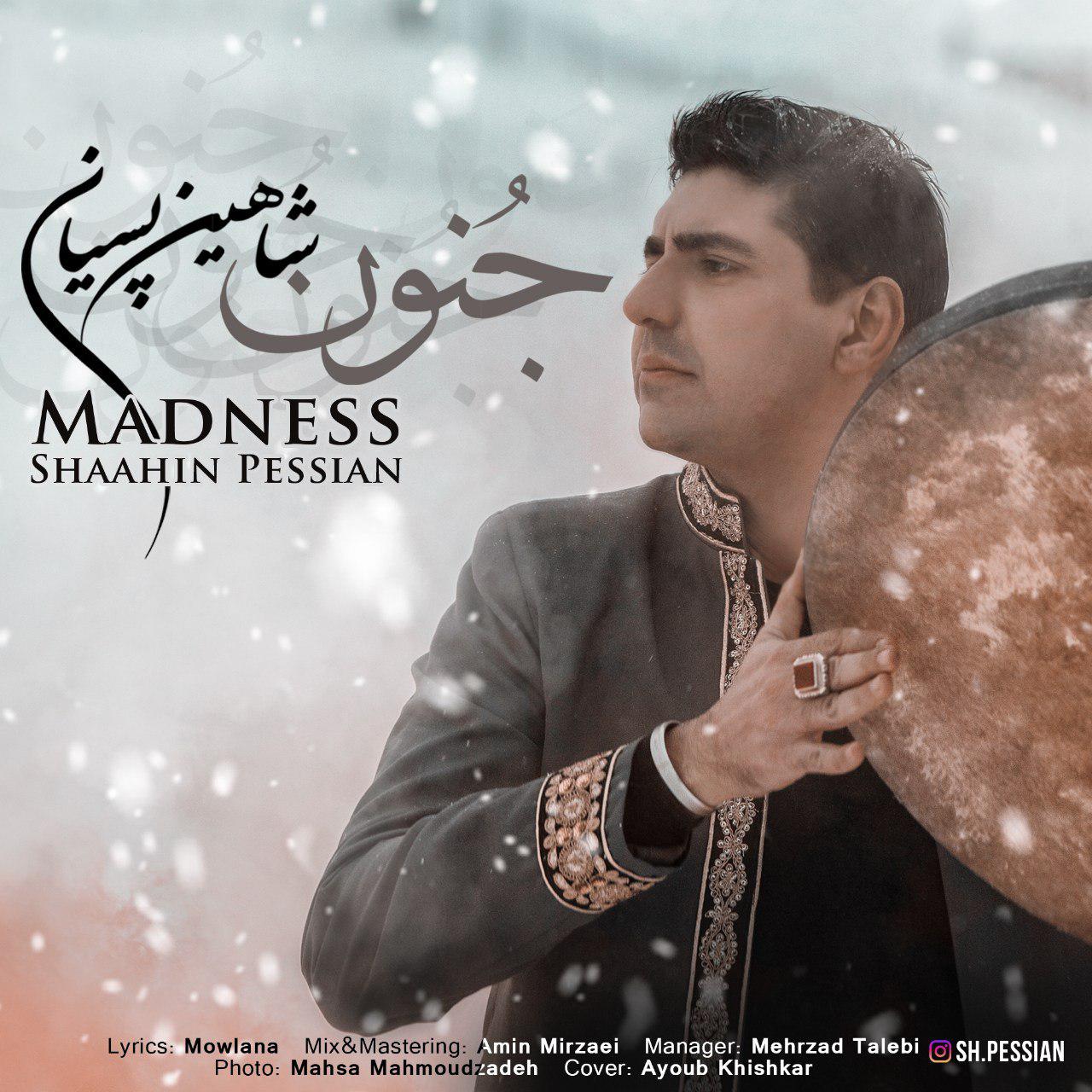 Shaahin Pessian - Madness(Jonun)