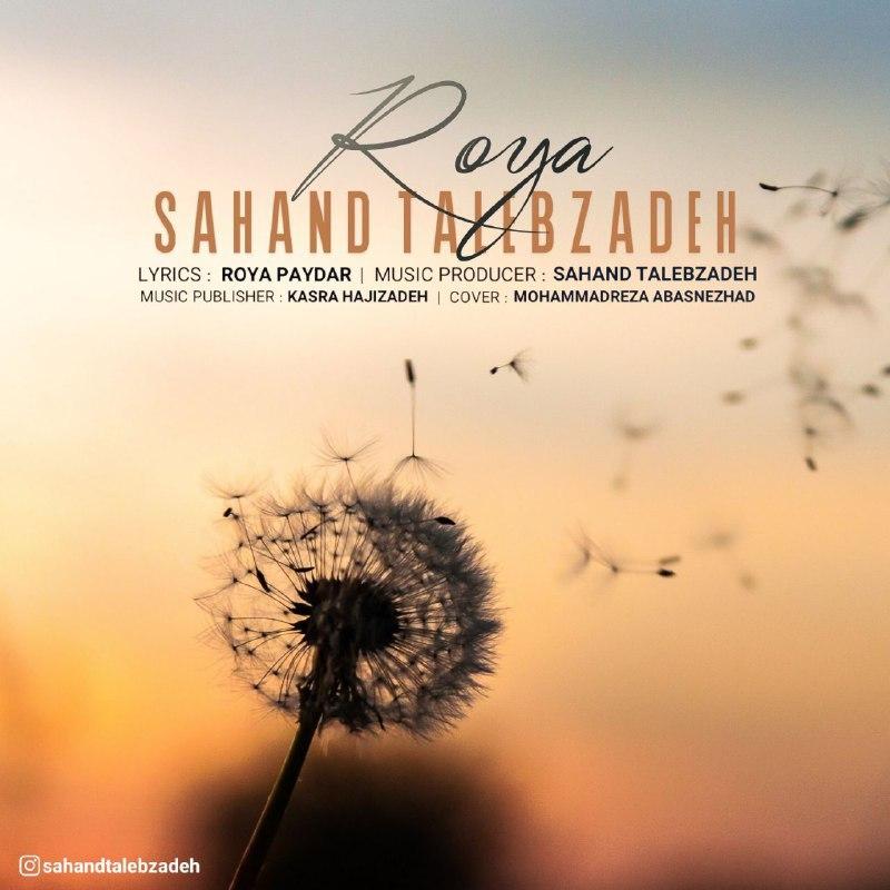 Sahand Talebzadeh - Roya