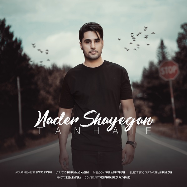 Nader Shayegan - Tanhaie