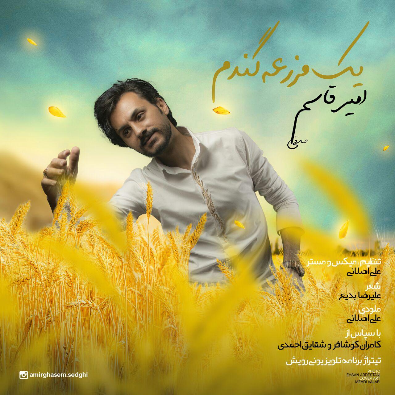 Amir Ghasem Sedghi - Yek Mazraeh Gandom