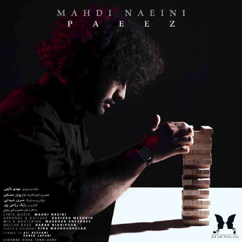 Mahdi Naeini - Paeez