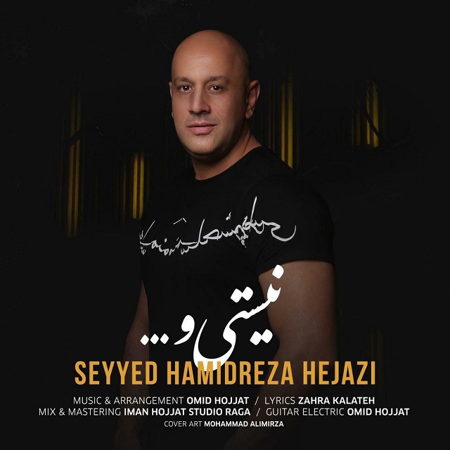 Seyyed Hamidreza Hejazi - Nistio